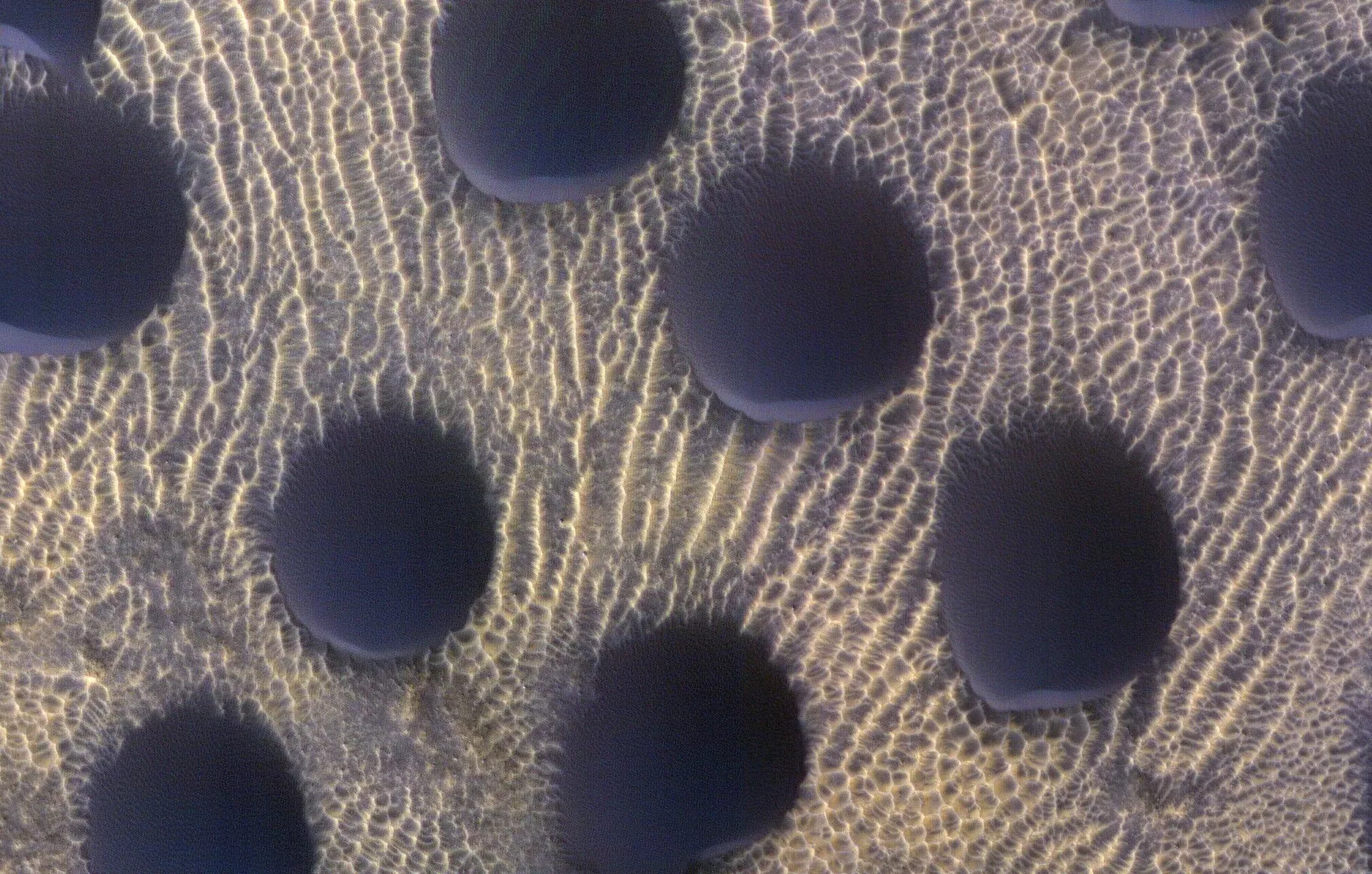 Фотографии: космический корабль НАСА запечатлел странные круглые песчаные дюны на Красной планете