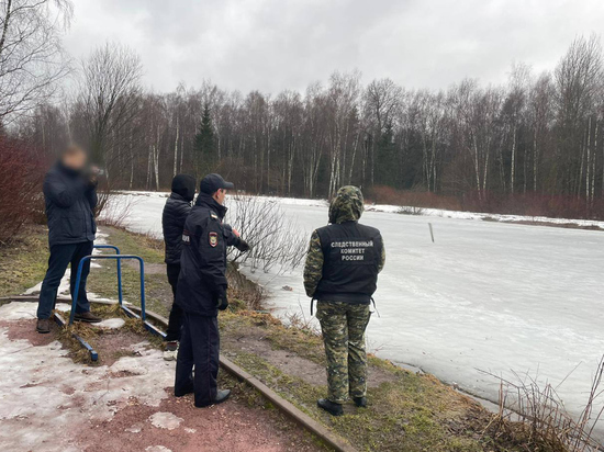 В Москве полиция раскрыла убийство на «Лосином острове»: многодетную мать убил бомж из шалаша в парке