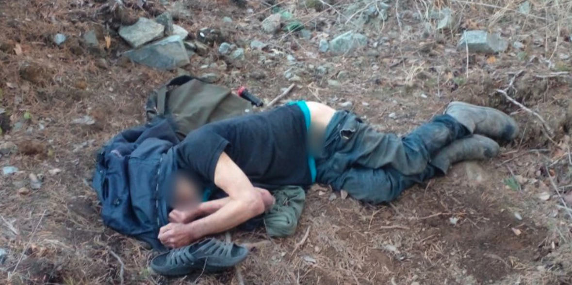 Е1: На территории лесополосы за Екатеринбургом обнаружен труп мужчины со спущенными штанами