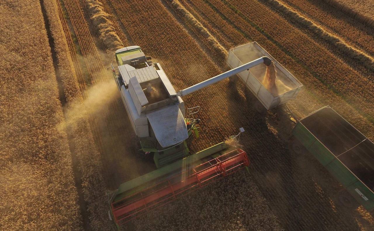 Украинская компания HarvEast испытывает проблемы с выживанием из-за ситуации с зерном на рынках Европы