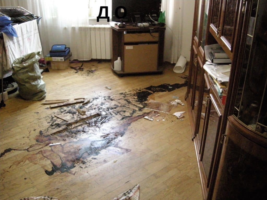 Passion: Эксперт по уборке квартир умерших рассказал, как на человека влияет трупный запах