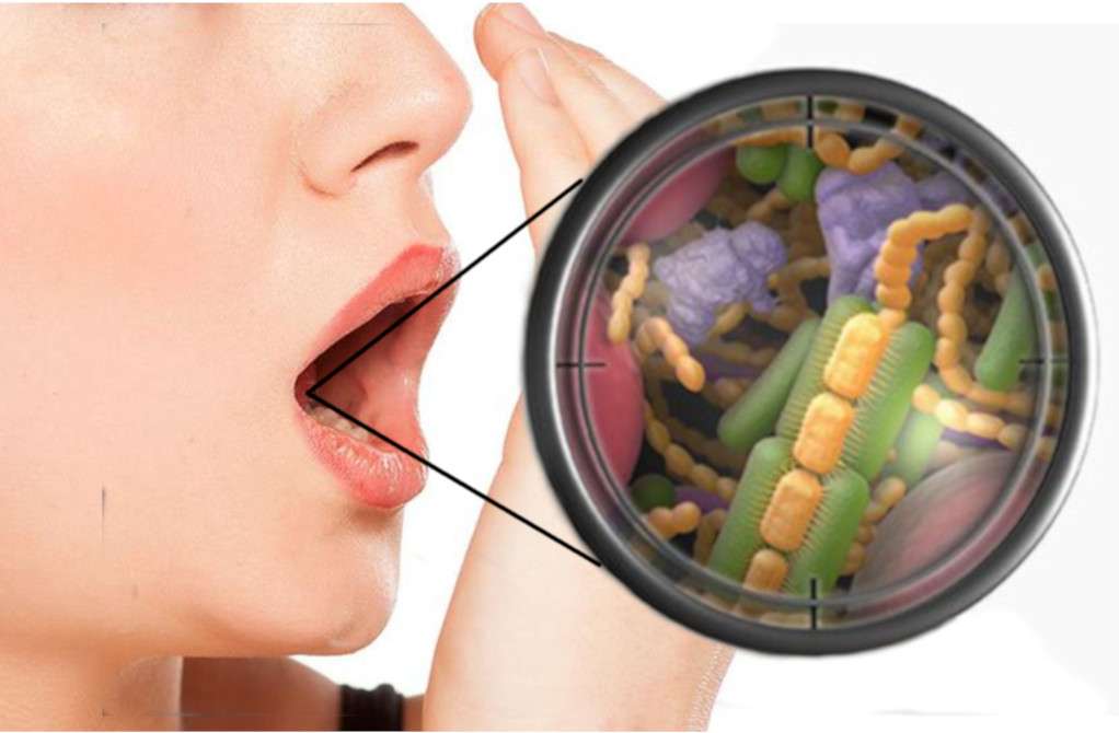 Eat This, Not That: Диетолог Бурдеос заявил, что огурцы могут повлиять на неприятный запах изо рта