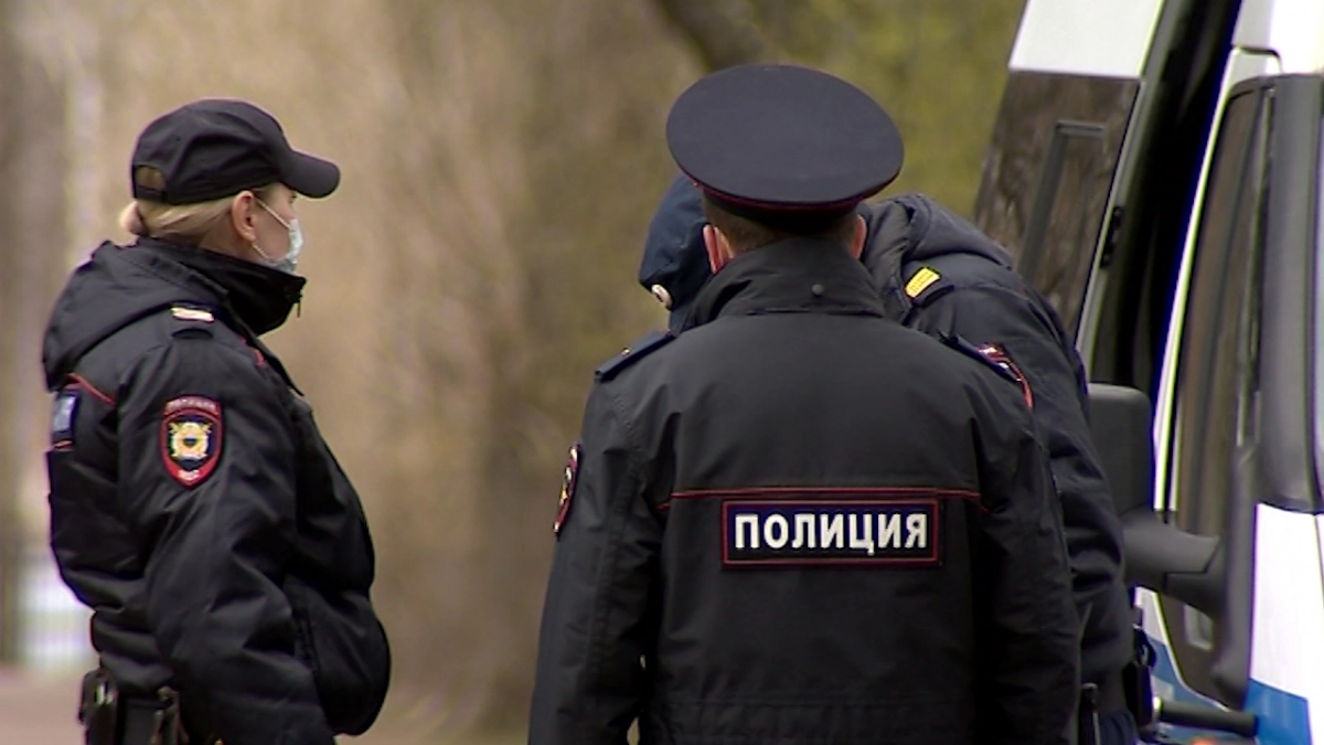 Полиция задержала двоих мужчин, которые напали на пенсионера на севере Петербурга