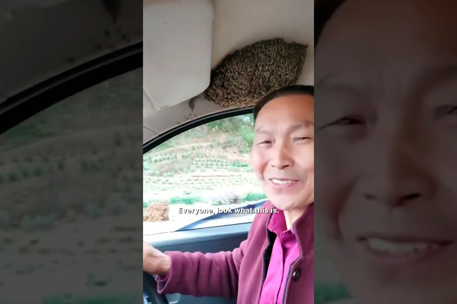 Oddity Central: В Китае мужчина планирует разбогатеть из-за пчёл, поселившихся в салоне его автомобиля