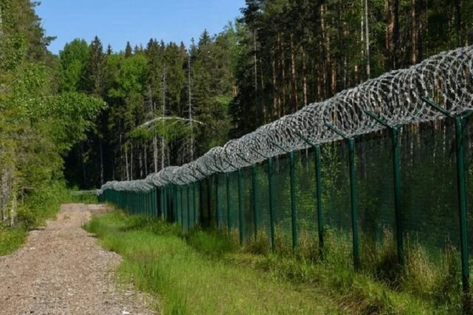 Латвия планирует в апреле начать строить забор на границе с Белоруссией