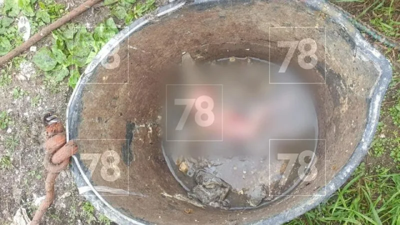 В Ленобласти СК ищет мать мертвой недоношенной девочки, которую нашли в канализации