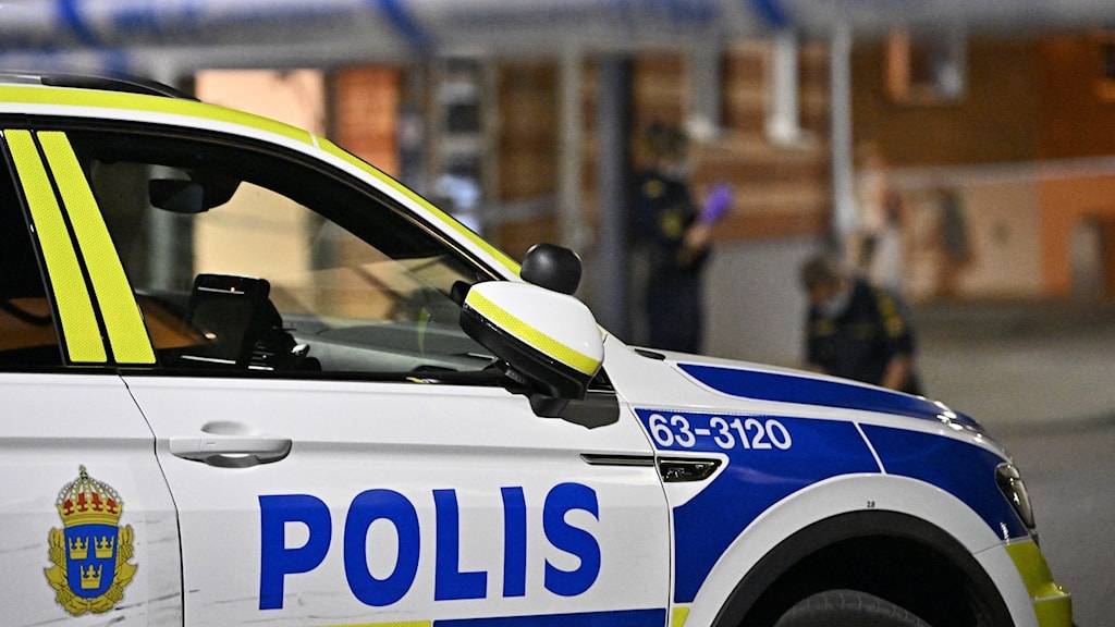 В Швеции растет число преступлений на фоне проведения миграционной политики