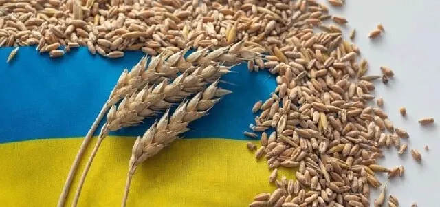 «Взгляд»: Польша требует ввести запрет на экспорт агропродукции из Украины