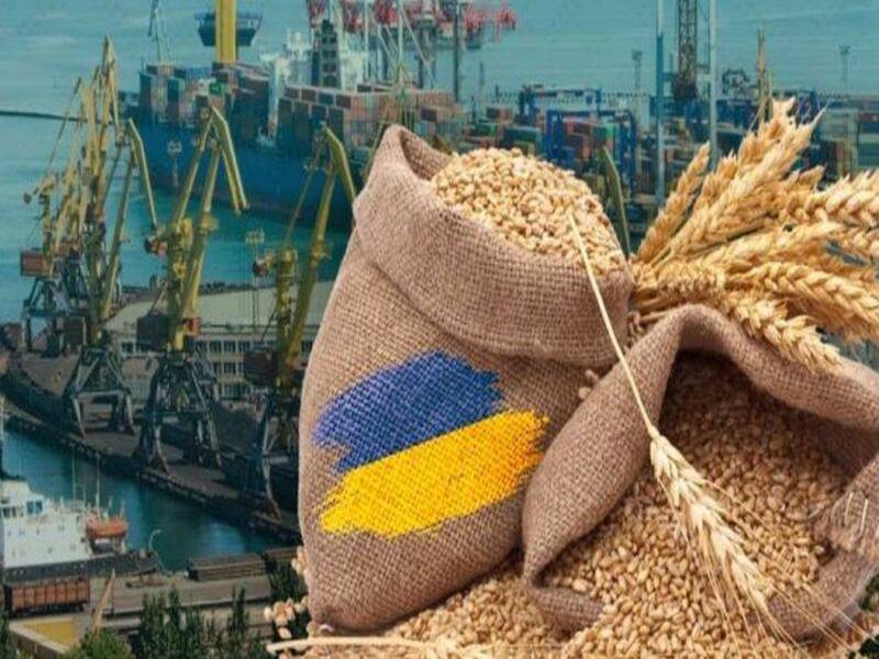«Взгляд»: Польша стала препятствием для Киева получать деньги за зерно