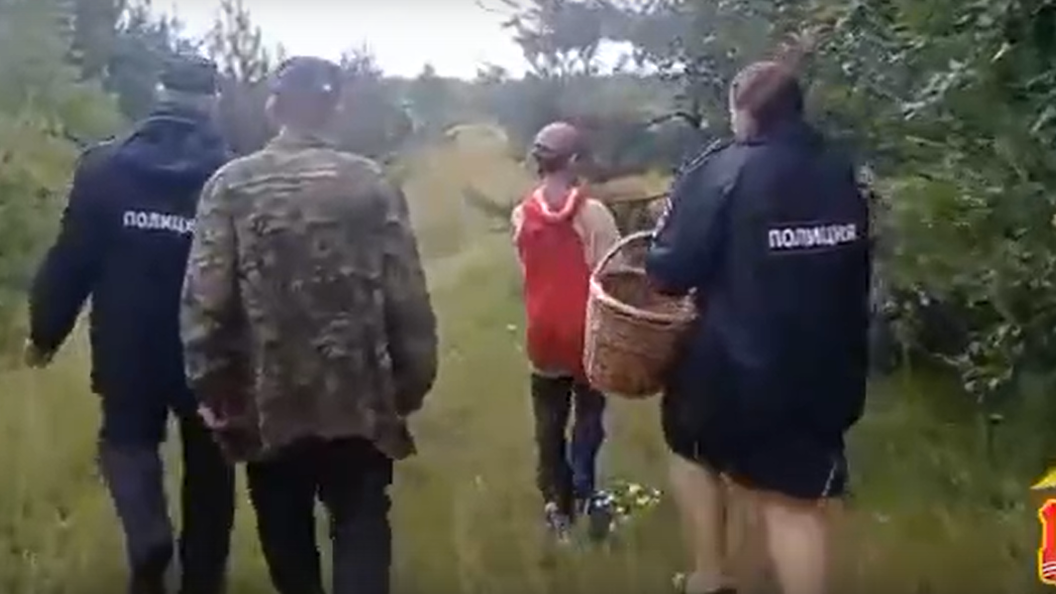 В Нижегородской области нашли женщину, которая ушла за грибами и заблудилась пять дней назад