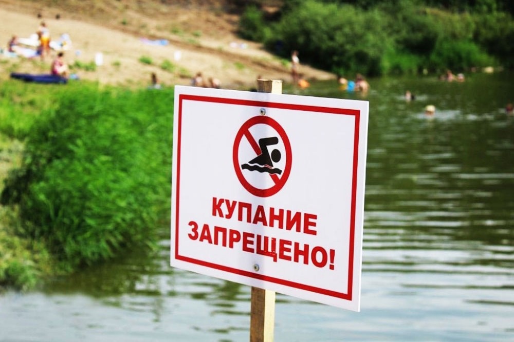 Логвиненко: в Ростове на необорудованном пляже чуть не утонул 11-летний мальчик