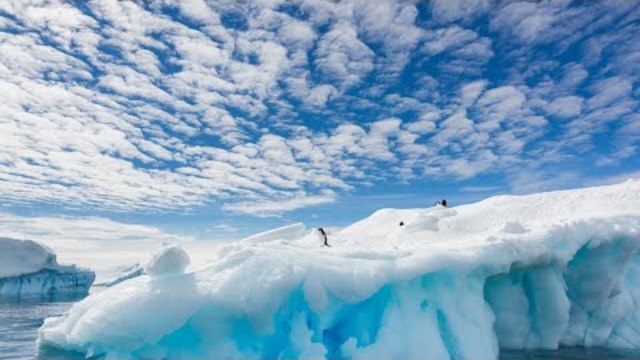 CNN: Морской антарктический лед стал меньше размером с Аргентину