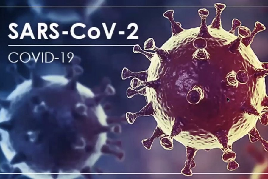 Иммунолог: новый вариант коронавируса SARS-CoV-2 с 30 мутациями не опасен