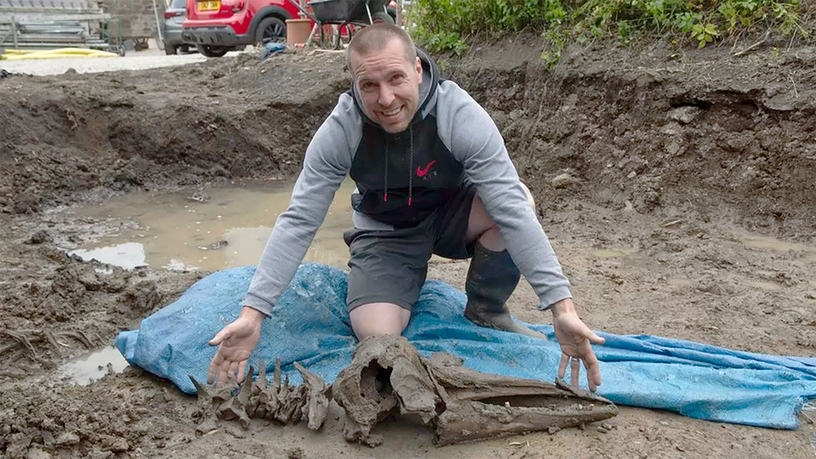 Шотландец случайно обнаружил у себя на заднем дворе кости 8000-летнего дельфина