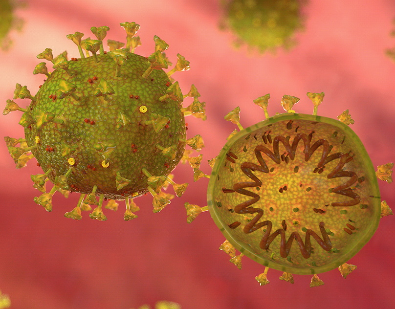 Мясников: ВОЗ пытается «реанимировать» статус коронавируса SARS-CoV-2