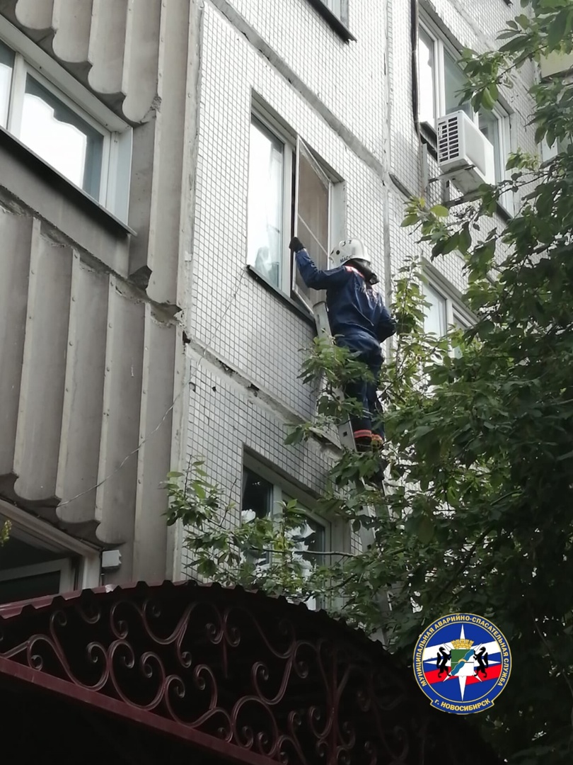 «НГС»: в Новосибирске спасатели обнаружили тела двух мужчин в запертых квартирах