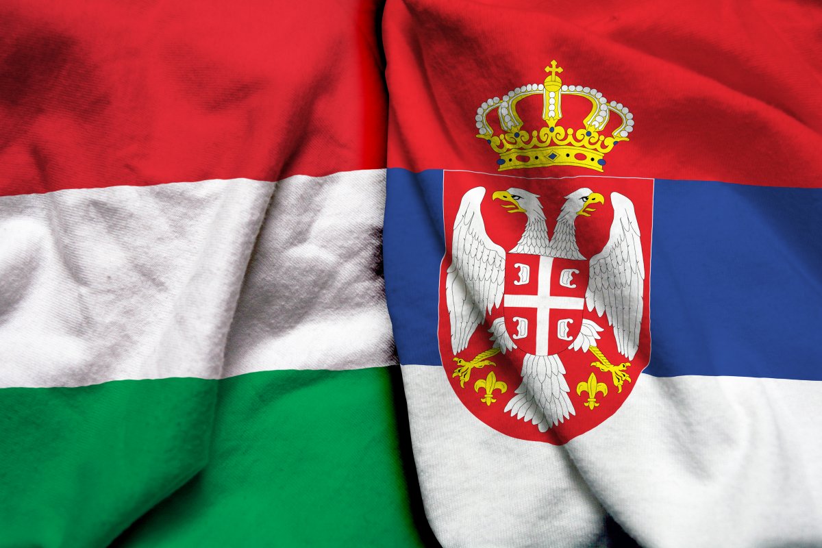 Политолог Гайич: союз Сербии с Венгрией можно считать исторической возможностью
