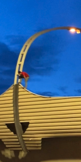 «Фонтанка»: в Петербурге на ЗСД неизвестный мужчина залез на фонарь