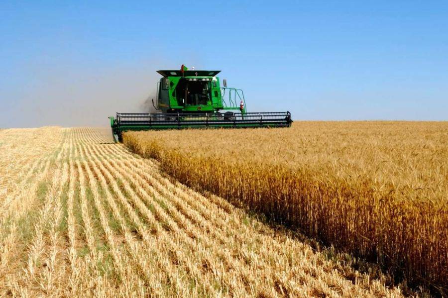Румынские фермеры потребовали ввести запрет на импорт украинского зерна