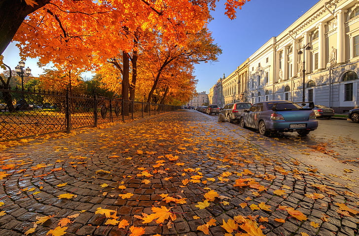 «Твил»: названы самые популярные города России для встречи осени