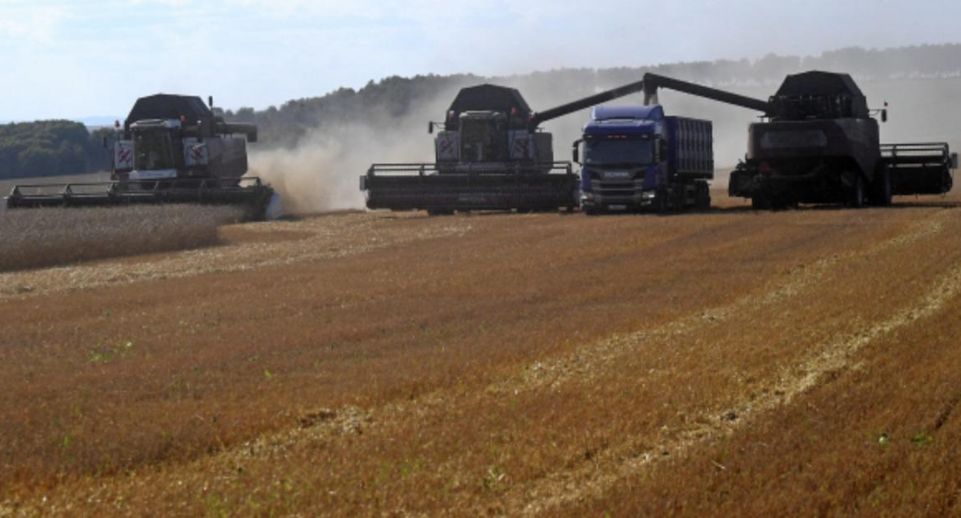 Киев будет жаловаться на заявления Польши о запрете ввоза украинского зерна