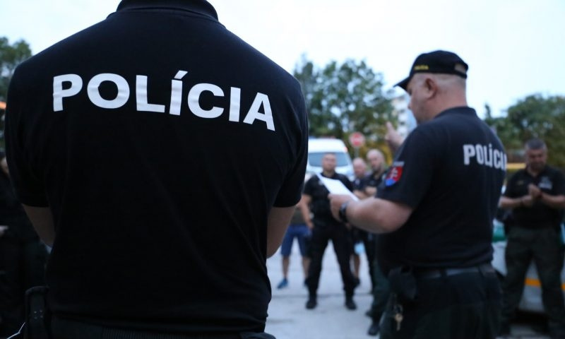 Евразия Daily: полиция Словакии начала кампанию по борьбе с фейками