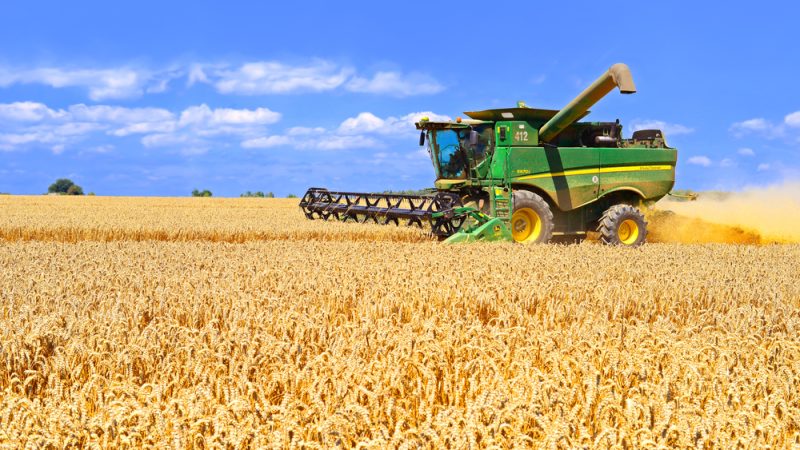 Euractiv: Болгария отменила запрет на импорт украинского зерна после 15 сентября