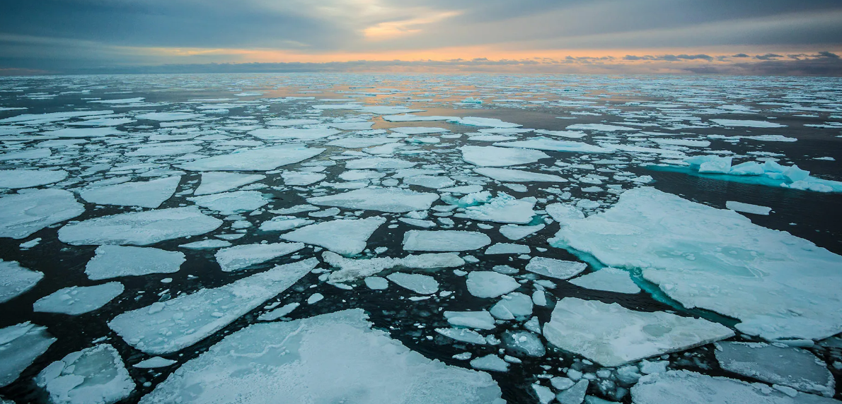 Арктика Северный Ледовитый океан. Ледяной Покров Северного Ледовитого океана. Северный Ледовитый океан паковый лед. Дно Северного Ледовитого океана. Нефть ледовитого океана