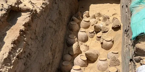 Археологи обнаружили в гробнице египетской царицы вино 5000-летней давности