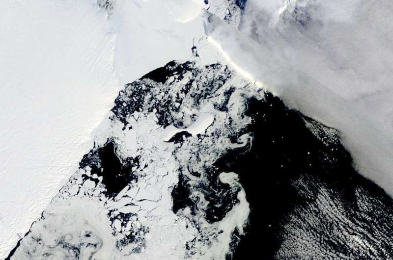 Ученые зафиксировали таяние на защитных шельфовых ледниках Антарктики