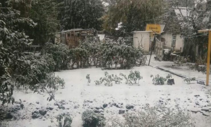 Вместе с похолоданием на Кубань уже пришли мокрый снег и метель
