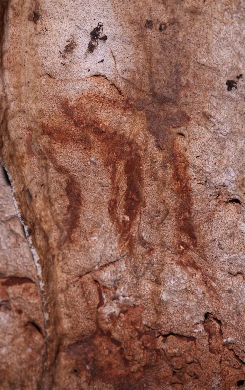 Учёные обнаружили в скрытой пещере более сотни древних картин