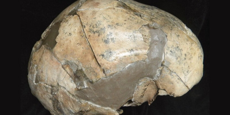 Палеопатологи впервые обнаружили признаки туберкулеза у неандертальцев