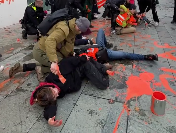 Немецкий полицейский повалил на землю экоактивистку и обмазал ее лицо краской
