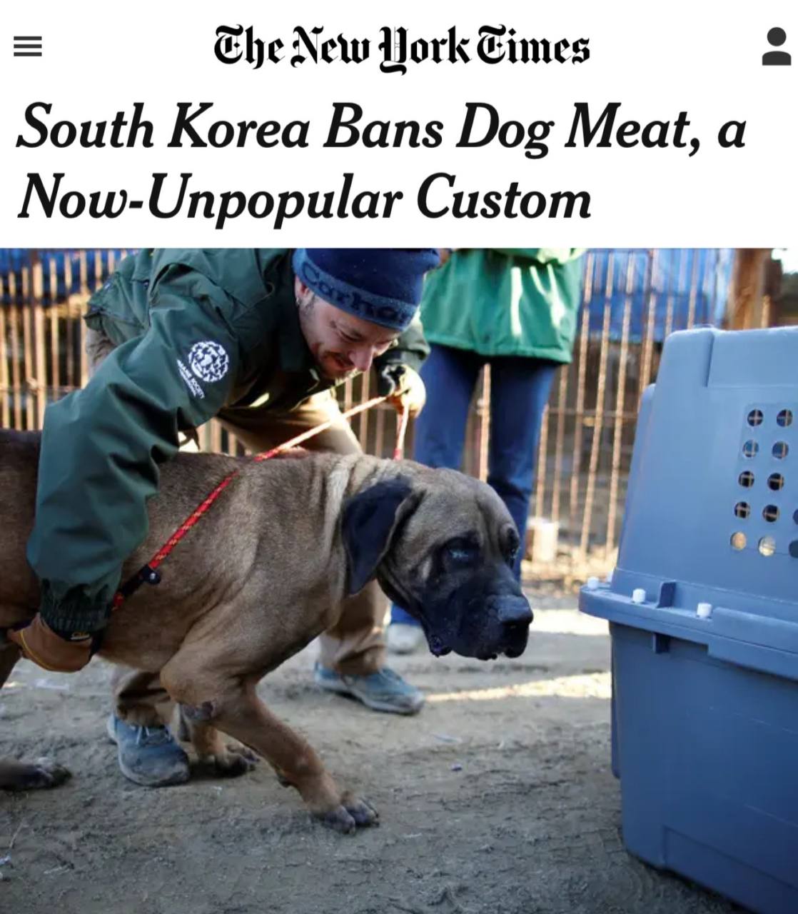 Корейский парламент проголосовал за запрет употребления собачьего мяса