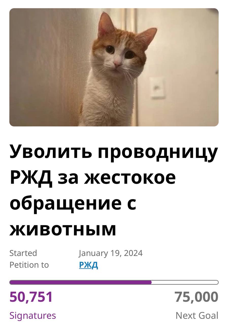 Петицию с требованием уволить проводницу РЖД, выбросившую кота Твикса в Кирове, подписали более 50 тысяч человек
