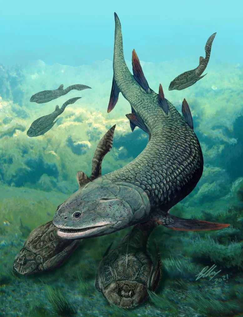 Ученые обнаружили странную древнюю рыбу возрастом 380 миллионов лет, которая дышала воздухом