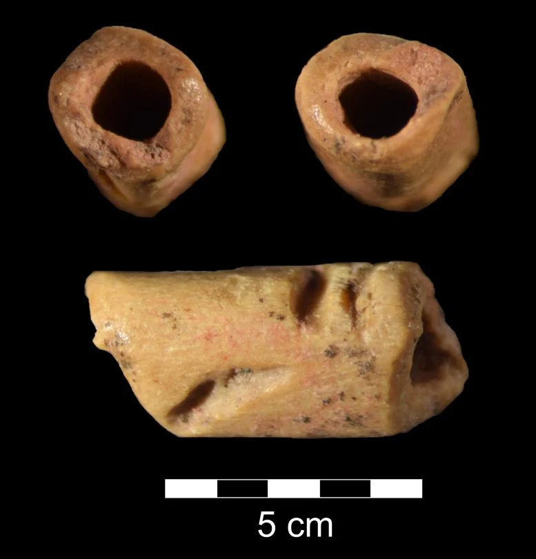 12 940 лет: археологи обнаружили самую древнюю бусину в Америке