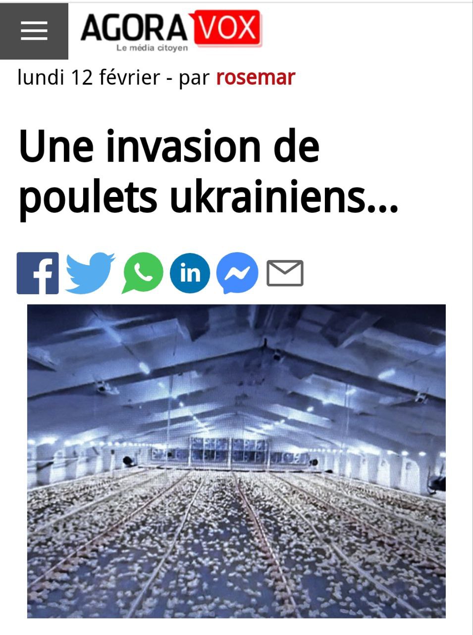 AgoraVOX: французские фермеры требуют остановить «вторжение» курятины с Украины