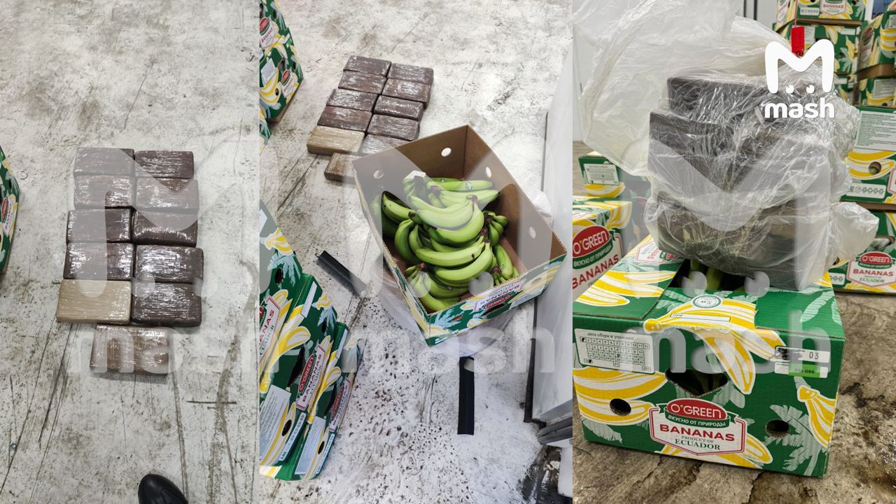 В порту Санкт-Петербурга нашли 11 килограммов кокаина в партии бананов из ЕС