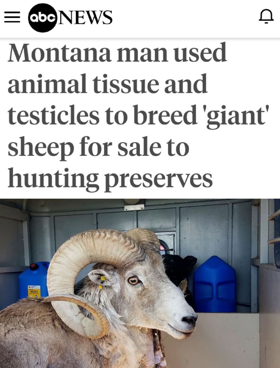 В США испугались овец-франкенштейнов и требуют от зоолога прекратить эксперимент