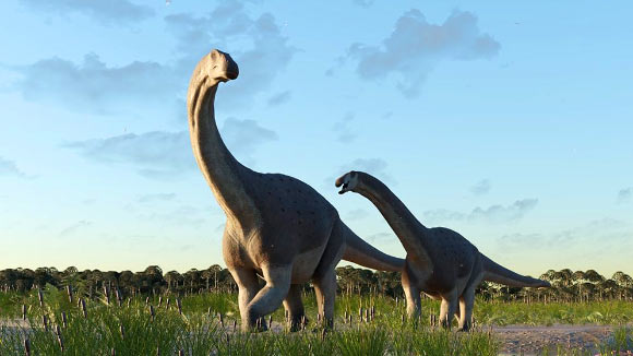В Аргентине обнаружен новый вид титанозавров