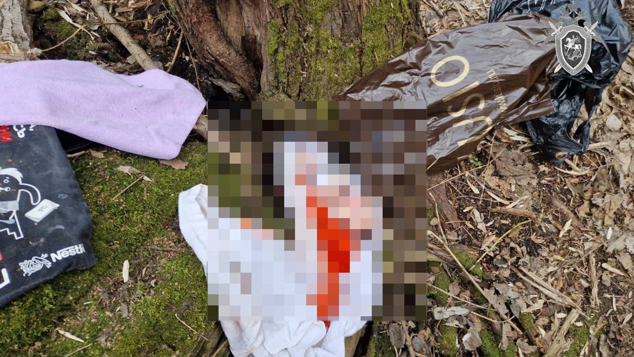 На востоке Москвы в парке нашли тело младенца в пакете