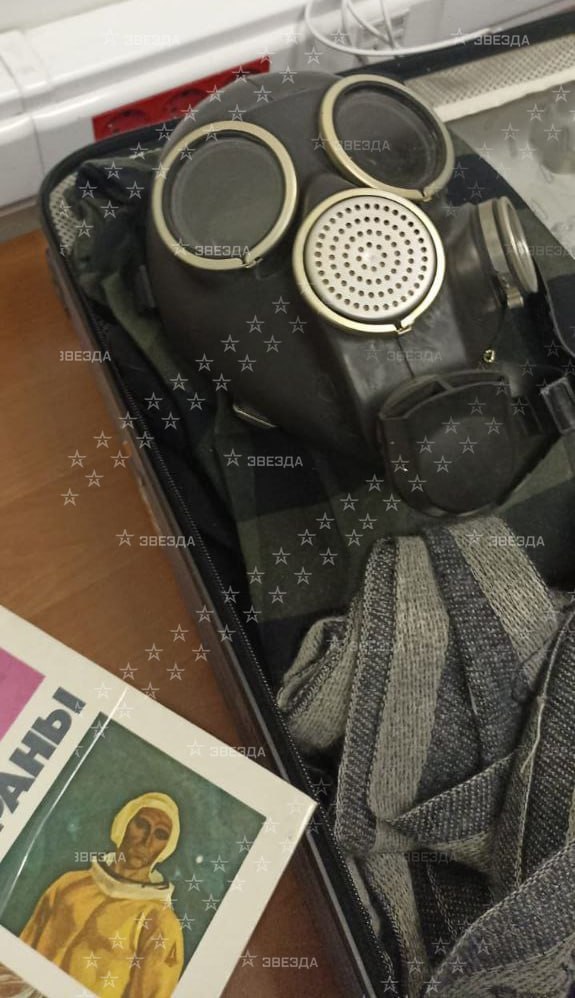 В багаже у пассажирки в Пулково нашли два наградных нацистских креста 1939 года